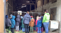 Besuch der Klasse 1c auf dem Bauernhof Rinderknecht